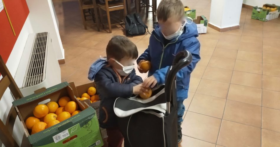 arance di SOS Rosarno